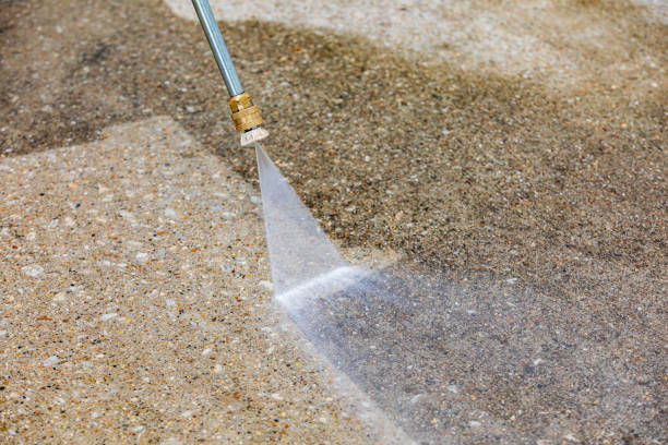 Best Driveway Pressure Washing  in Belmar, NJ